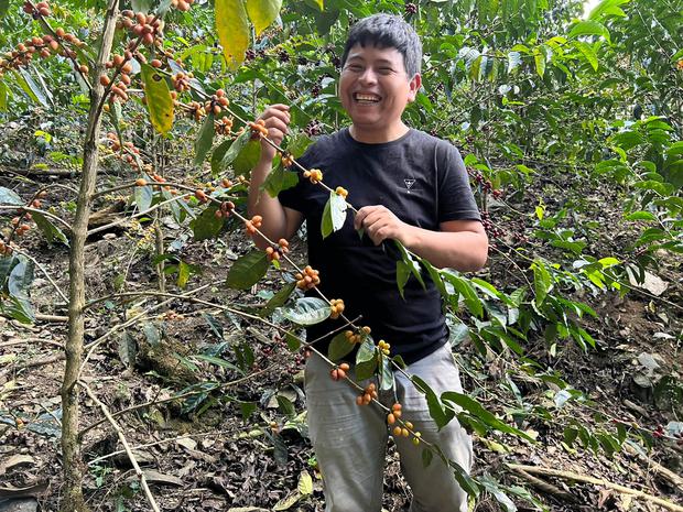 Edwin Quea Pacco produced the third best coffee in the country this year from his farm in the province of La Convencion, Cusco.  (Photo: Cup of Excellence)
