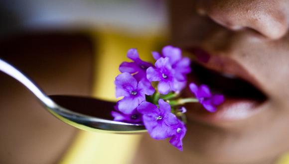 Las flores comestibles podrían frenar enfermedades crónicas