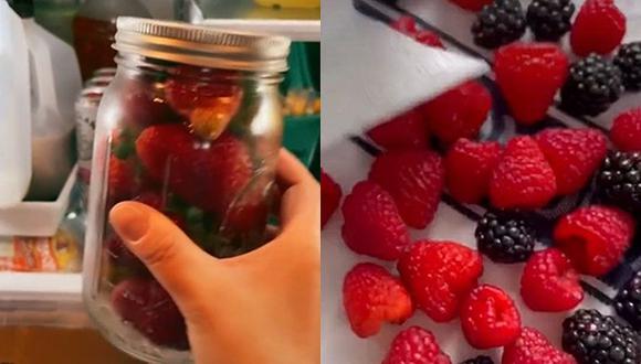 Las fresas o frutos rojos tienden a dañarse rápidamente en la nevera. Con estos trucos caseros quedarán perfectos por dos semanas. (Foto: @stephgigliotti28 @kalejunkie / TikTok)