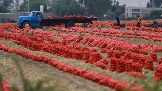 Sector agropecuario anotaría crecimiento de 1% al cierre del 2020, estima Midagri