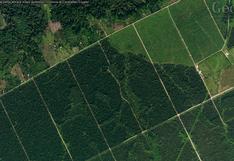 Ecuador perdió poco más de un millón de hectáreas de formaciones boscosas en 38 años