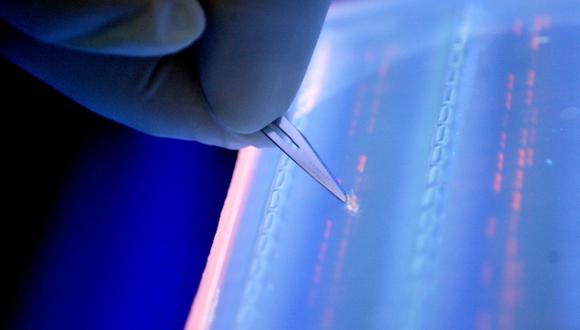 Científicos españoles estudian la epigenética contra el cáncer
