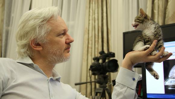 Cómo vivió Assange en su oficina de 20 metros en la embajada durante siete años. Foto: Reuters