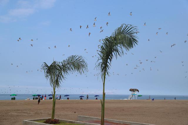 La playa Agua Dulce será una de las más visitadas el primero de enero.