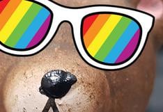 Instagram celebra mes del Orgullo LGBT con coloridos stickers