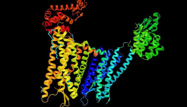 Receptor Opioide. Este es un ejemplo de cuando el maestro se atribuye los logros de sus alumnos. Candace Pert era una neurocientífica cuya autoría del invento fue designada a su profesor, el Dr. Salomon Snyder. Su protesta marcó un precedente y la mujer se hizo un nombre con sus futuras publicaciones en el campo de la ciencia (Foto: Shutterstock)