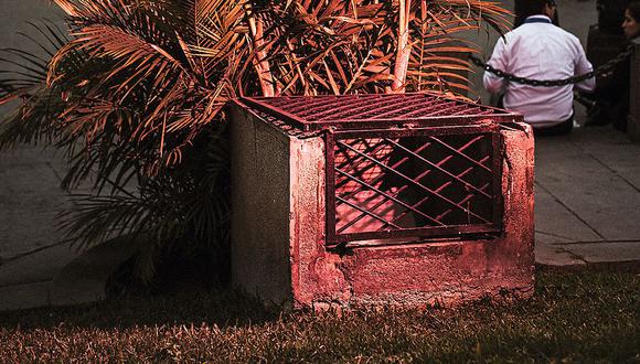 La historia del petiso de la Plaza San Martín que murió electrocutado. (Foto: Monarca Criollo)