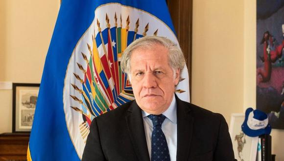La Secretaría General de la OEA, a cargo del diplomático uruguayo Luis Almagro, informó que enviará una misión para las próximas elecciones generales (Foto: EFE)