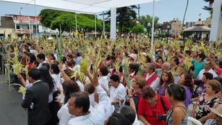 Surco: con entrega de mil palmas se celebró el Domingo de Ramos