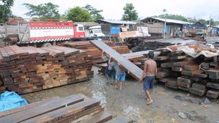 Más del 60% de la madera movilizada en el Perú en el 2017 tuvo origen ilegal