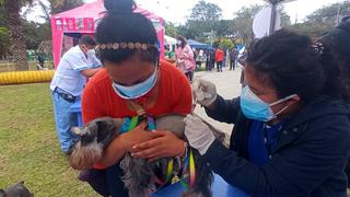 Feria de mascotas: servicios gratuitos, concursos y premios en el Cercado este domingo 31 de octubre