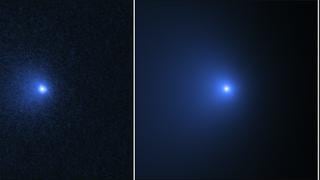 Científicos de la NASA detectan “el cometa más grande jamás visto”