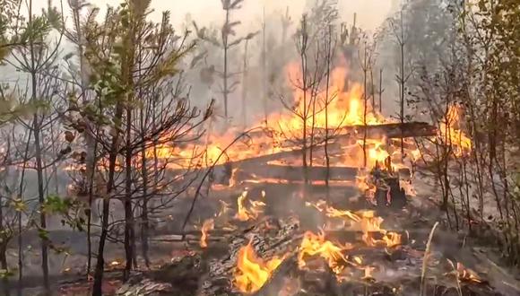 Esta fotografía muestra un incendio forestal en la región de Ryazan, en las afueras de Moscú. (Foto: Ministerio de Emergencias de Rusia / AFP)