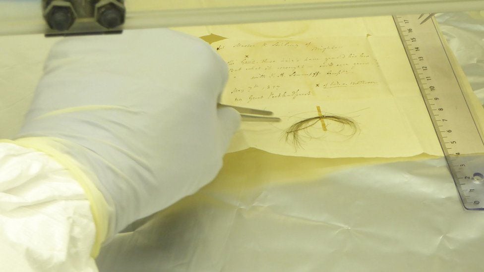 The Stumpff lock is one of five pieces of Beethoven's hair studied in an attempt to determine the composer's health problems.  (ANTHI TILIAKOU/UNIVERSITY OF CAMBRIDGE).