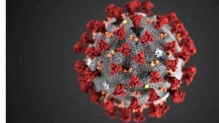 COVID-19 | Las dudas que aún quedan sobre el verdadero origen del coronavirus