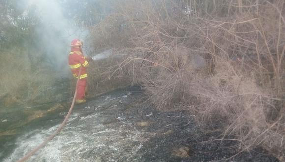 Lambayeque: se han registrado más de 30 incendios forestales en lo que va del año