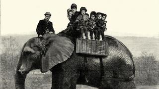 Cómo fue la trágica vida de Jumbo, el elefante que inspiró a Dumbo de Disney