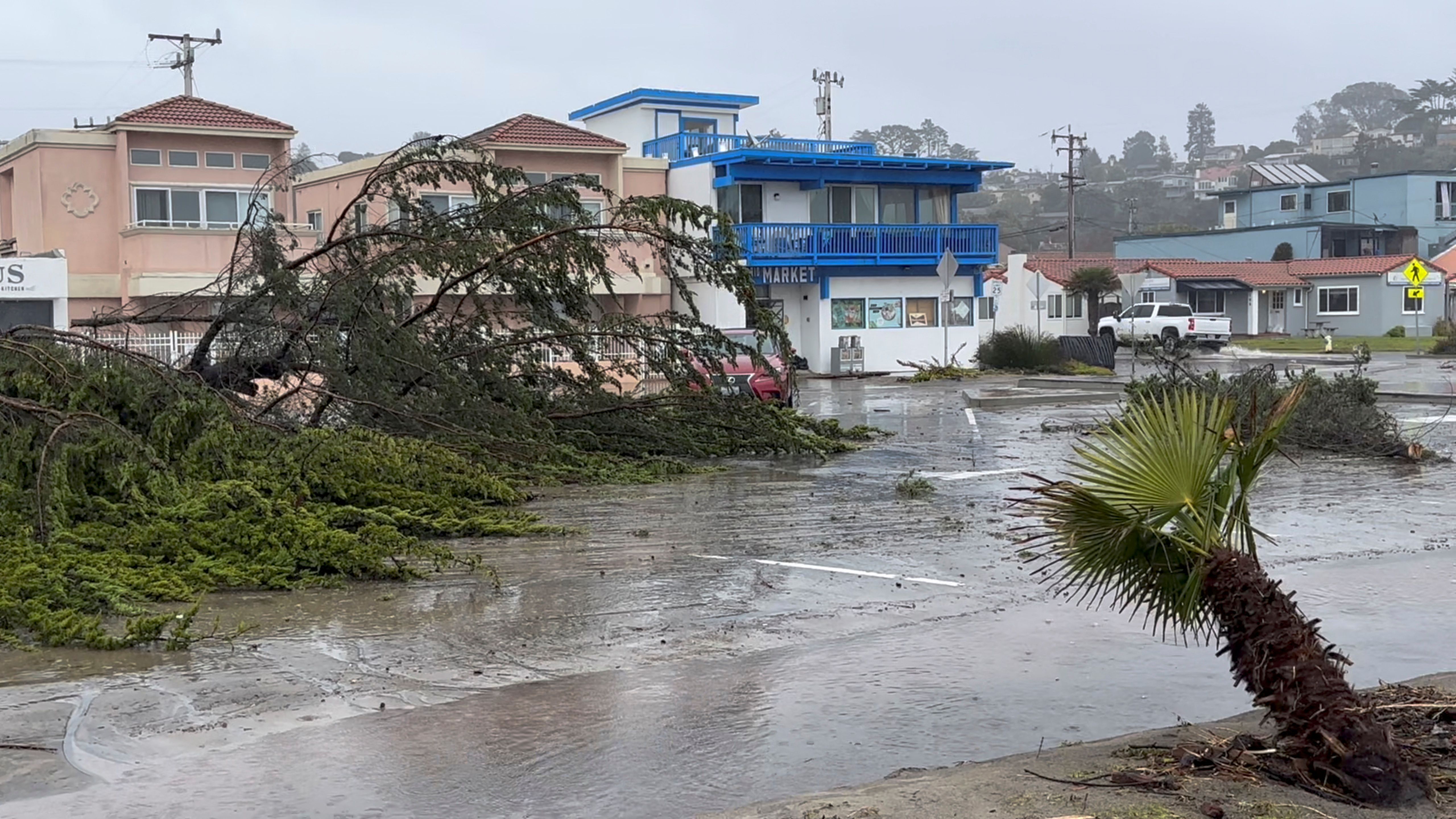 Fallen trees lie in the street after a bomb cyclone in Rio del Mar, California, USA.