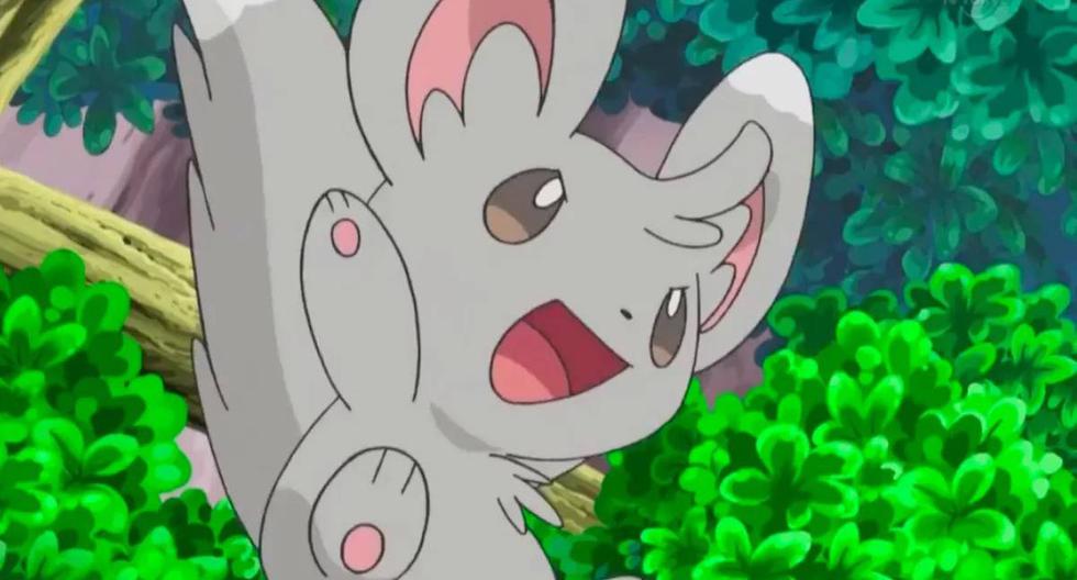 Por el Año de la Rata, Pokémon GO lanzará a Minccino por tiempo limitado. (Foto: Nintendo)