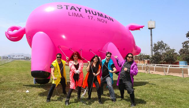 Los Terapeutas del Ritmo (Foto: Alessandro Currarino / El Comercio)