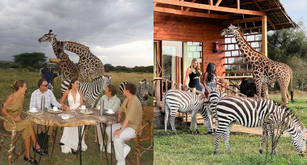 La influencer peruana hizo safari familiar en Tanzania, uno de los destinos favoritos para este tipo de turismo vivencial.
(Fotos: IG @luanabarron, Serval Wildlife)