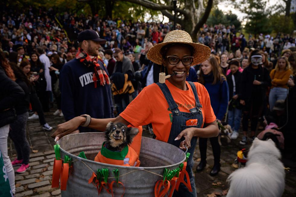 Halloween | Estados Unidos: Brooklyn celebra el Día de los Muertos desfile  de disfraces de perros | Coronavirus | COVID-19 | FOTOS | MUNDO | EL  COMERCIO PERÚ