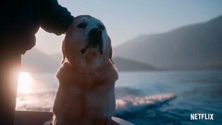 Netflix estrena 'Dogs', una serie que indaga el lazo emocional entre perros y humanos