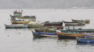 Produce modificará ROP de la merluza para incluir a pescadores artesanales del norte del país