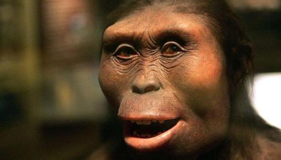 ¿Cómo hallaron a Lucy, la Australopithecus?