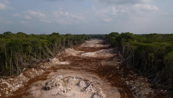 Zona de la selva en Felipe Carrillo Puerto, Quintana Roo, que se taló para construir el tramo 6 del Tren Maya. Foto: Isabel Mateos