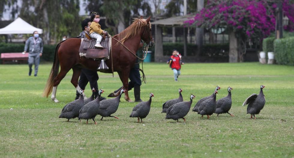 Las opciones para recrearse de forma segura no se acaban en las afueras de Lima. (Foto: Alessandro Currarino)