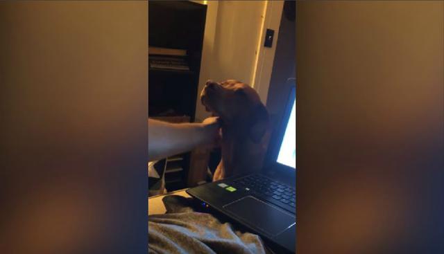 El hombre decidió acariciarlo, pero cada vez que se detenía el can repetía su accionar. (YouTube: ViralHog)