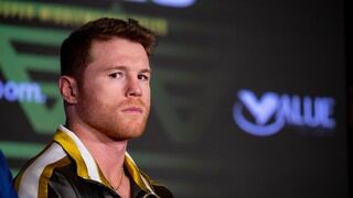 Quiénes son los hermanos de Canelo Álvarez