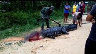 Iquitos: matan a lagartos negros en plena carretera Zungarococha