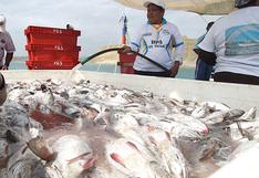Produce: “No hay desabastecimiento de pescado en el país”