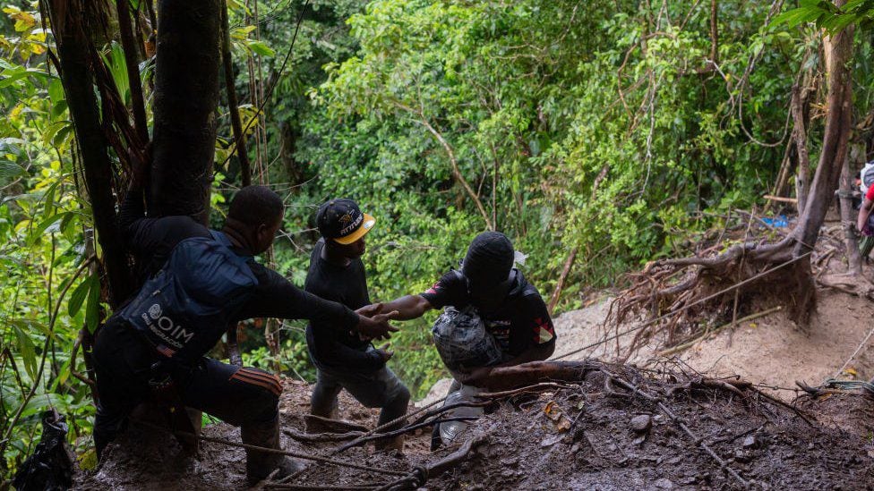 The journey through the mountains is so steep that the migrants hold on to the roots of the trees.  (GETTY IMAGES)