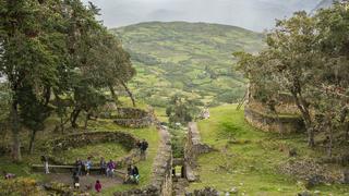 Perú: Descubre la mejor ruta para la observación de aves