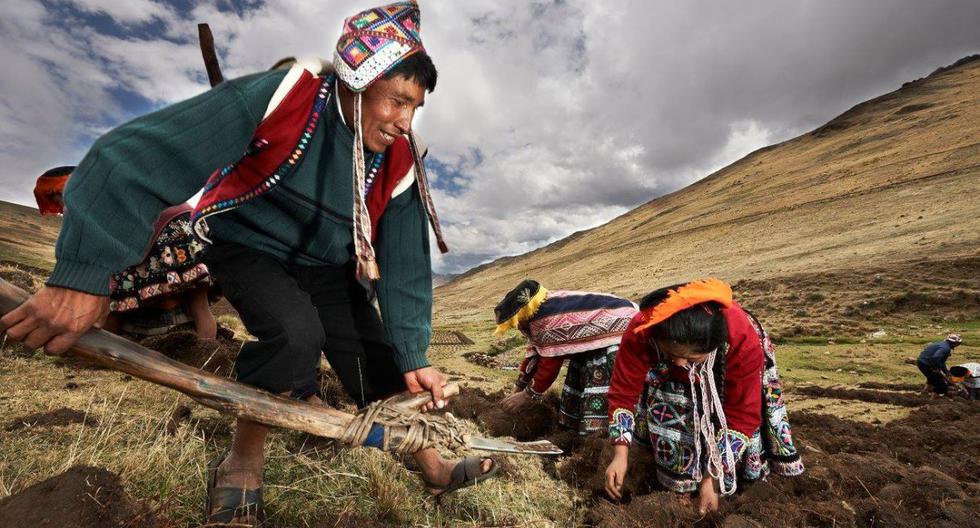 “Hatun Phaqcha, Tierra Sana”: Documentary about Peruvian ‘superfoods’ premieres in theaters this February 17