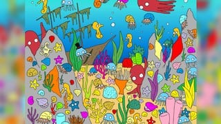 ¿Puedes encontrar al único pez en esta foto? El reto que muy pocos superan