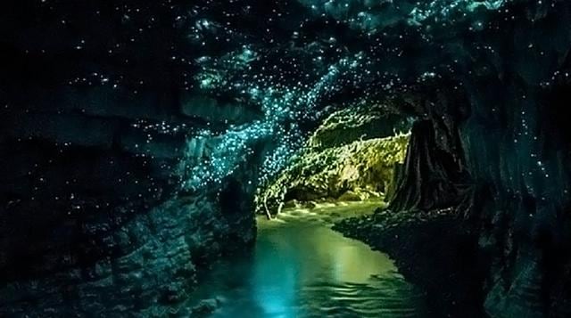 ¿Entrarías a esta cueva 'fosforescente' en Nueva Zelanda? - 1
