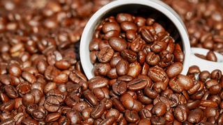 Exportadores cafetaleros concretarían negocios por US$3,4 millones en rueda de negocios Ficafe 2022