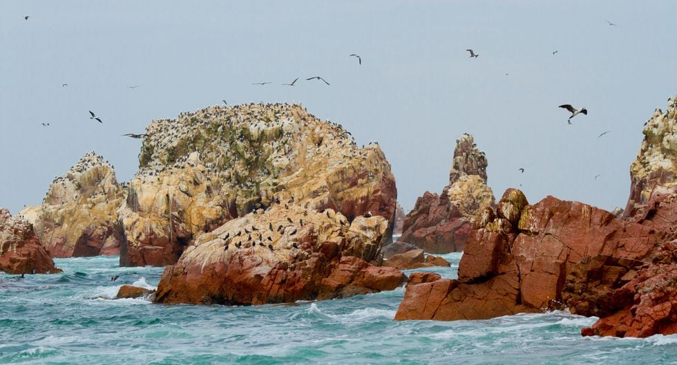 Perú: Perú: 8 áreas Naturales Protegidas Que Debes Visitar Al Menos Una ...