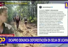 Noticias sobre Tala Ilegal hoy jueves 23 de febrero | EL COMERCIO PERÚ