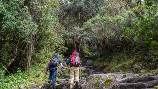 Camino Inca postula a ser un destino turístico sostenible