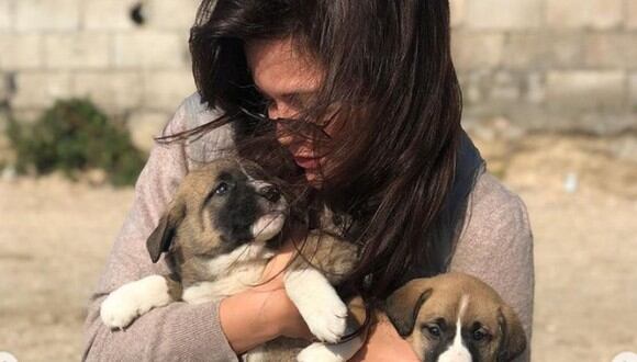 El set de “Tierra amarga” se convirtió en un refugio para perros (Foto: Hilal Altınbilek / Instagram)