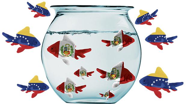 (Ilustración: Giovanni Tazza)