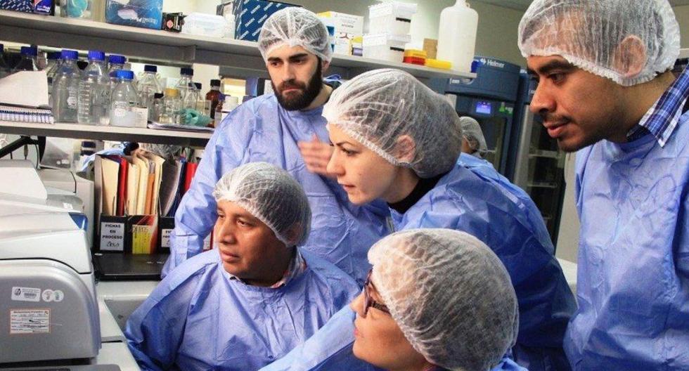 Cuatro investigadores de Argentina, Paraguay, México y Venezuela hacen pasantía sobre técnicas virológicas en el INS. (Foto: Andina)