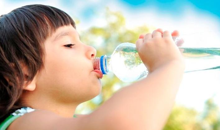 Loncheras saludables para el regreso a clases de los pequeños de la casa. (Foto: Difusión)