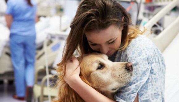 ¿Cómo están ayudando los perros de terapia a combatir contra el coronavirus? (Foto: Zooplus)