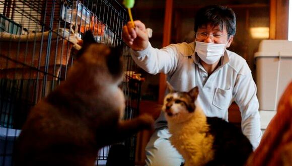 Sakae Kato ha evadido a las autoridades y vive en la zona de cuarentena junto a 40 gatos y demás animales. | Foto: Reuters